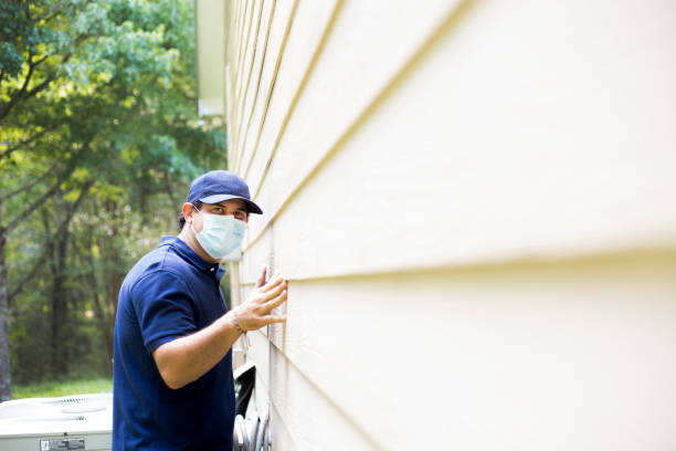 Best Siding Painting and Refinishing  in Rock Springs, WY